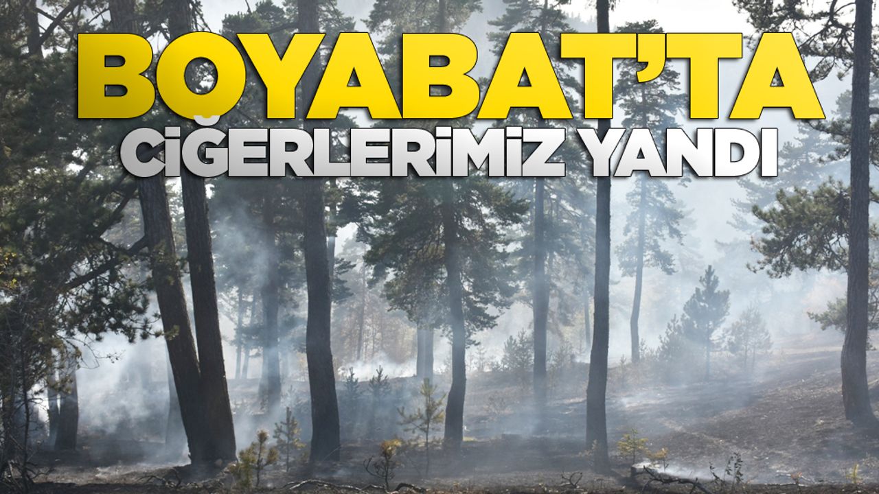 Boyabat'ta 100 dönüm orman kül oldu