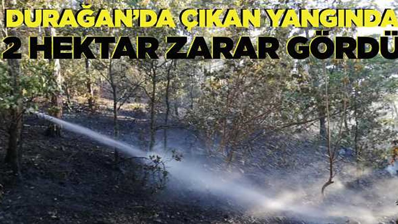 Durağan'da 2 hektar ormanlık alan yandı