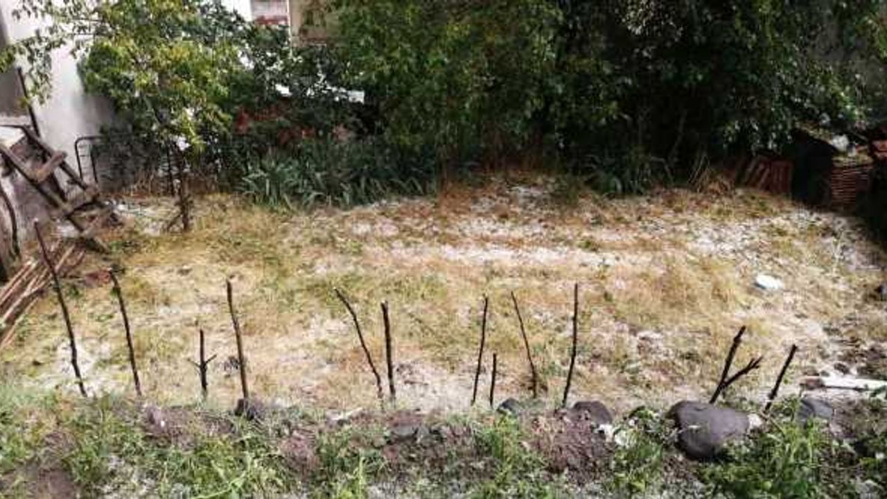 Osmancık’ta etkili olan dolu yağışı tarım arazilerine zarar verdi