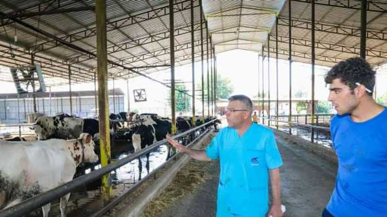 Başkan Güler, bir günlüğüne mesleğine geri dönüp hayvanlar için çalıştı