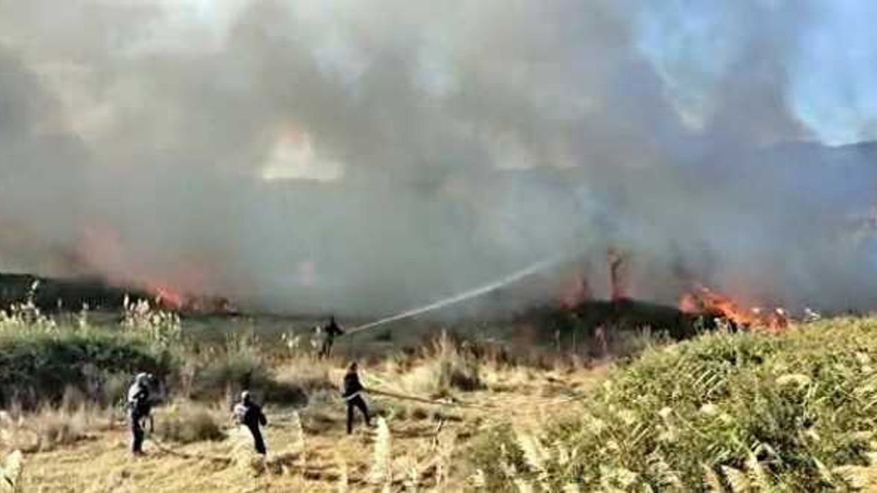 Edremit Ovası’nda korkutan yangın