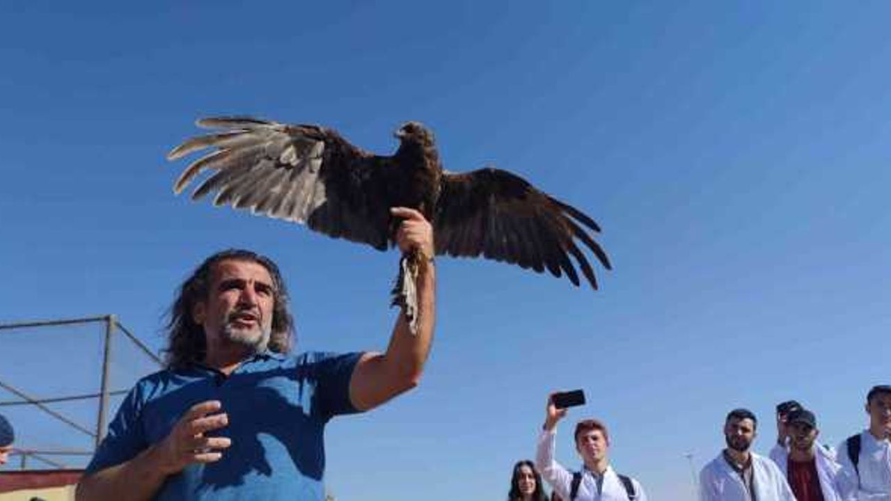Van’da tedavileri tamamlanan 300 yabanî hayvan doğaya bırakıldı
