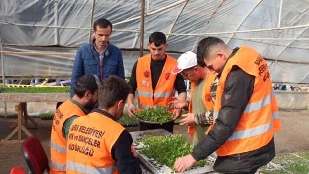 Bafra Belediyesi mesleki liseden mezun olan öğrencilerle ilçeyi güzelleştiriyor