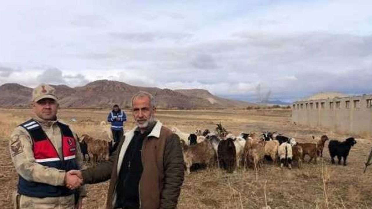 Kaybolan keçi sürüsü dron ile bulundu
