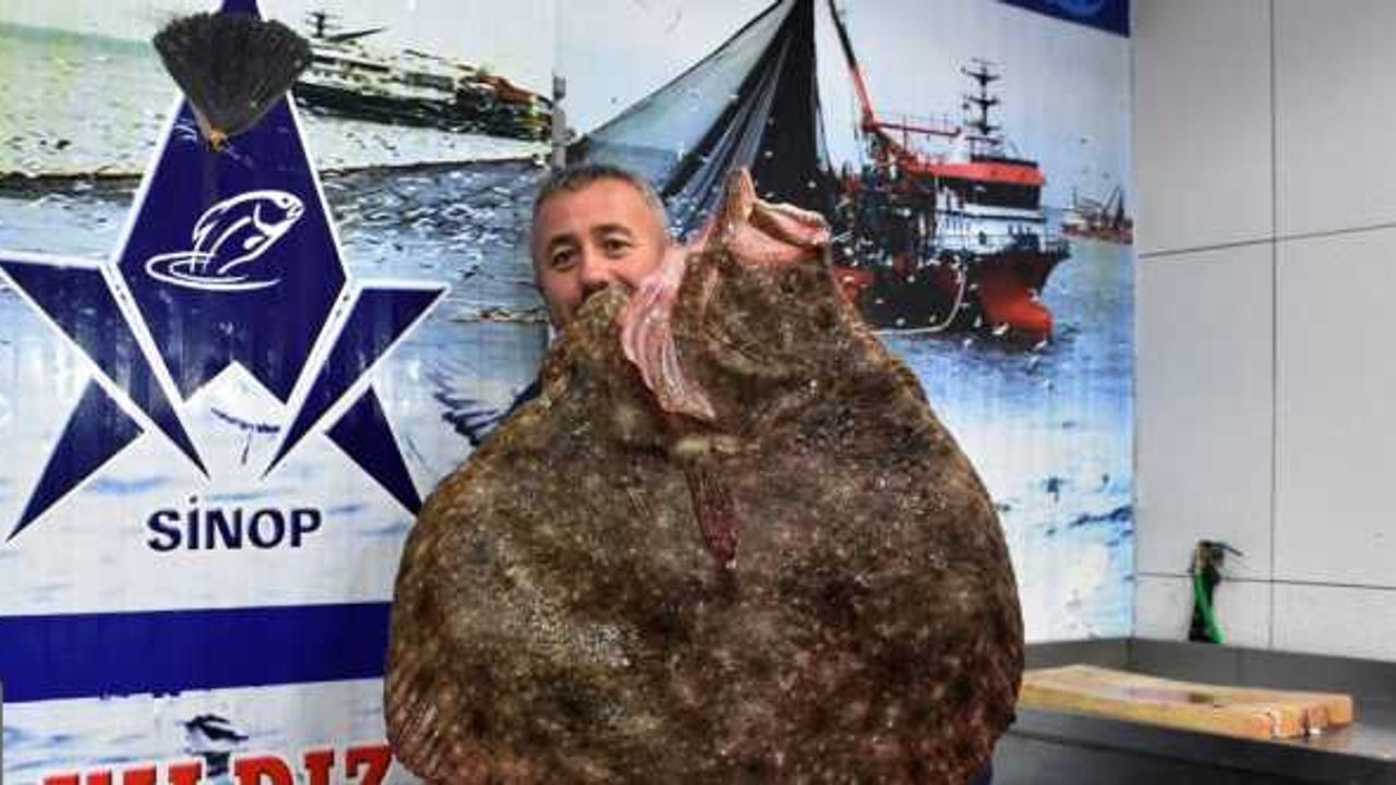 Sinop'ta balıkçı ağına 10 kilogramlık kalkan balığı takıldı