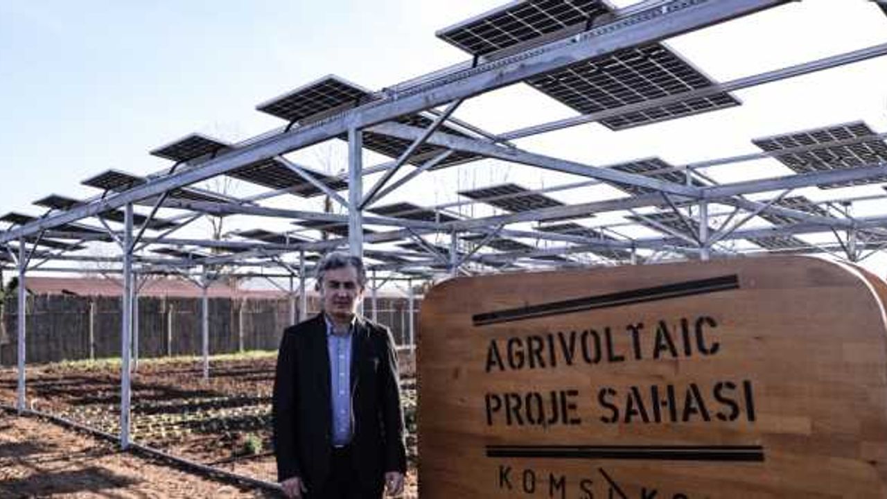 Agrivoltaik sistemle tarım ürünleri ve güneş panelleri aynı tarlada buluştu