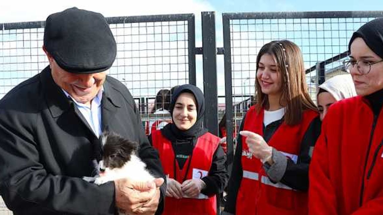 Bayburt'taki rehabilitasyon merkezi "can dostlara" şifa dağıtıyor