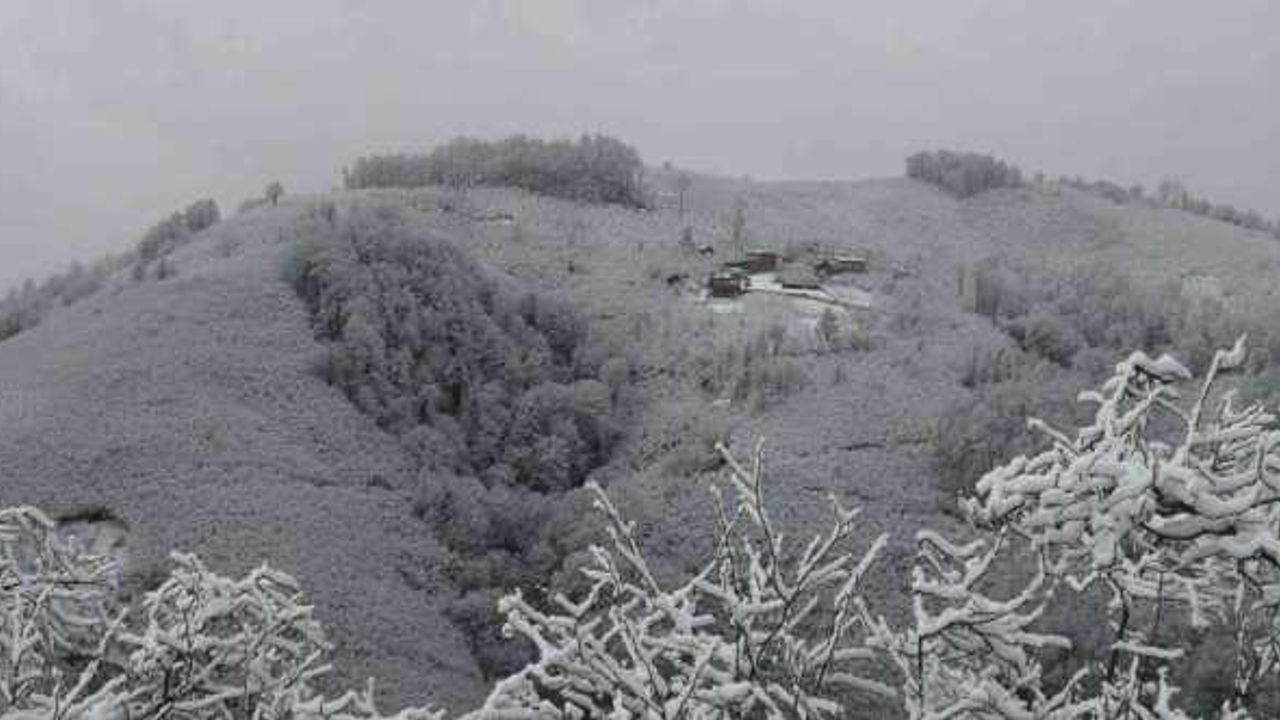 Ordu’nun yüksek kesimlerinde kar yağışı etkili oldu