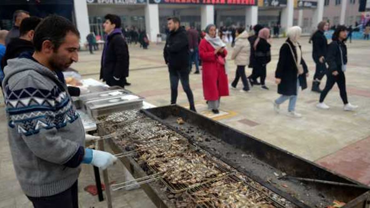Sinop'ta hamsi şenliğinde katılımcılara 2 ton hamsi ikram edildi