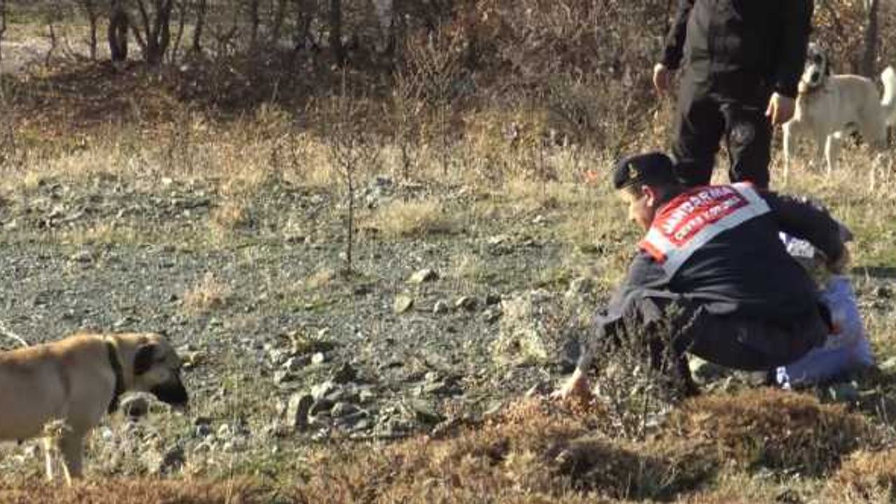 Tokat'ta off-road pilotları yaban hayvanları için doğaya yem bıraktı