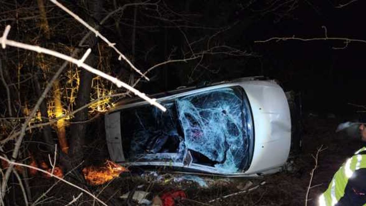Bolu'da ağaçlık alana devrilen otomobildeki 2 kişi yaralandı