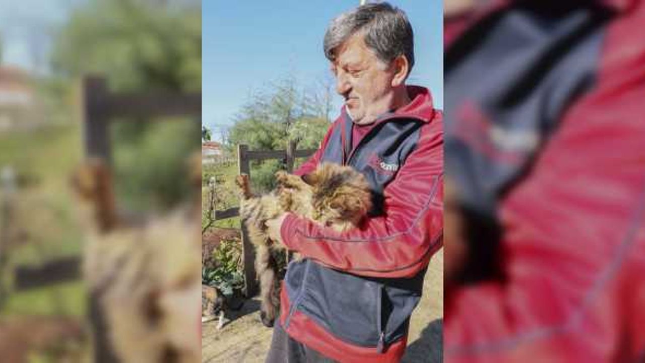Çocuğu gibi gördüğü 50'den fazla kedi için köyünden ayrılmıyor