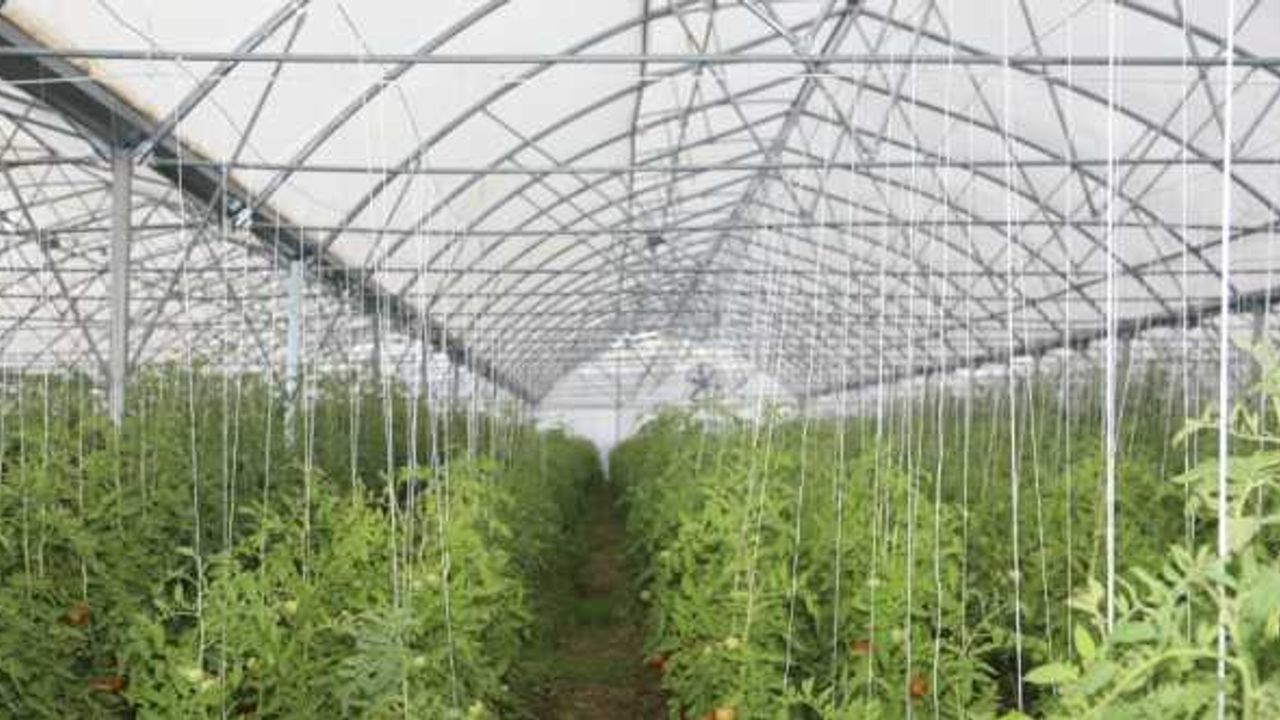 Doğu Karadeniz'de kalkınmaya 2023'te 1 milyar lira destek hedefleniyor