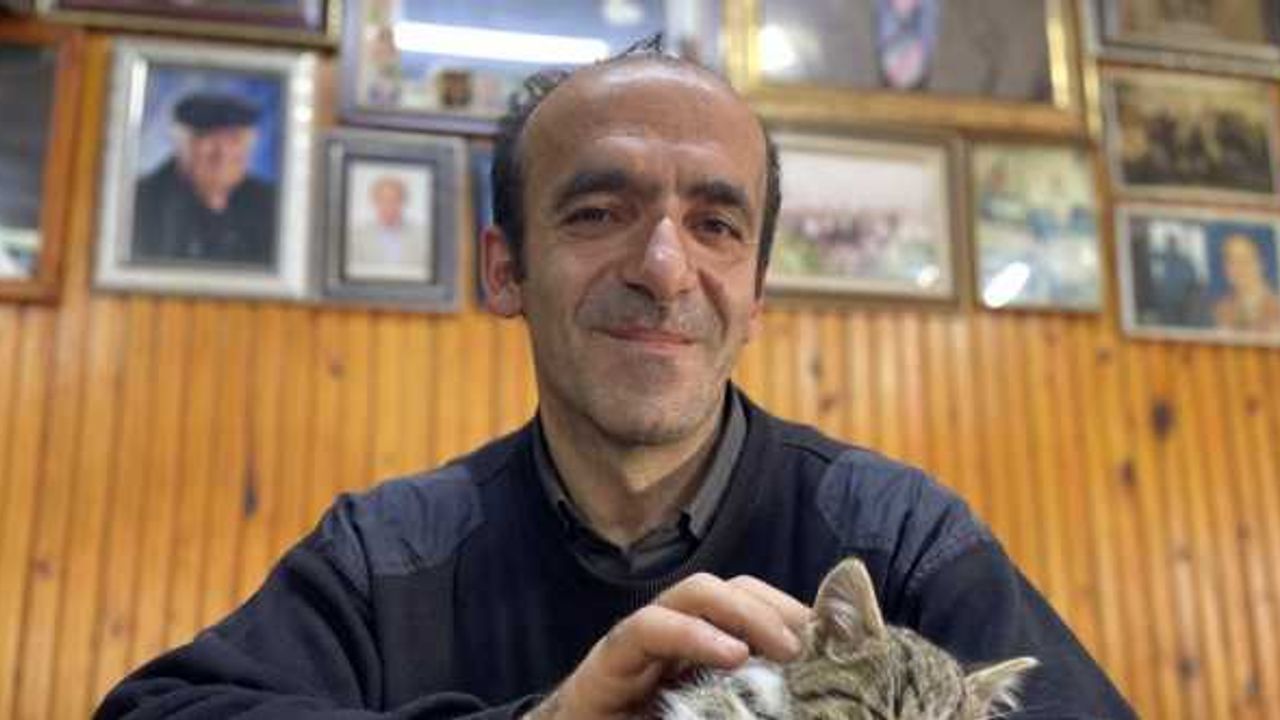 Hıdırnebi Yaylası'nda kediler üşümesin diye her gün soba yakıyor