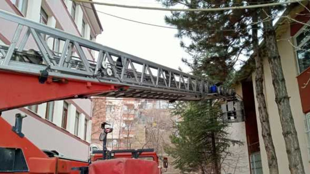 İskilip'te itfaiyenin kurtardığı baykuş ve güvercin doğaya salındı