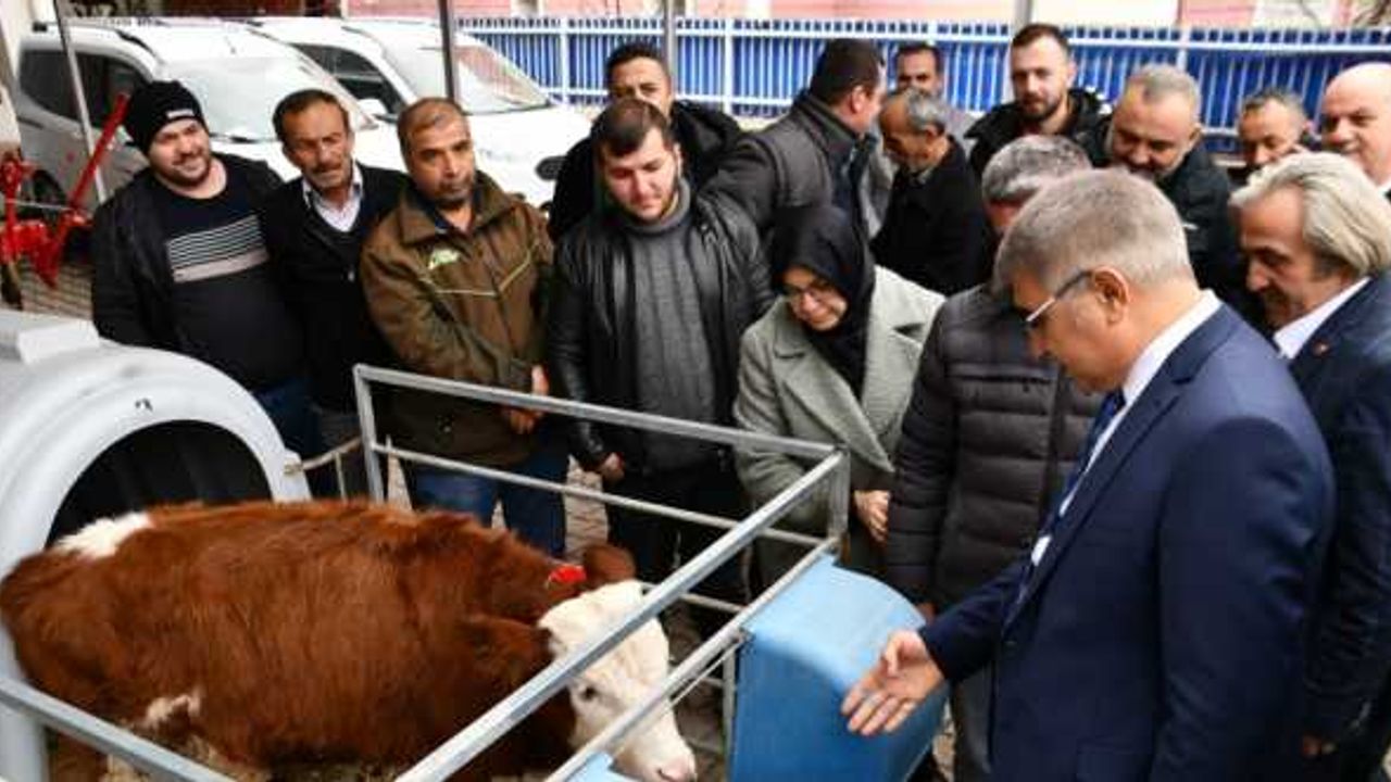 Karabük'te et ve süt verimi yüksek ırkların artırılması projesi devam ediyor