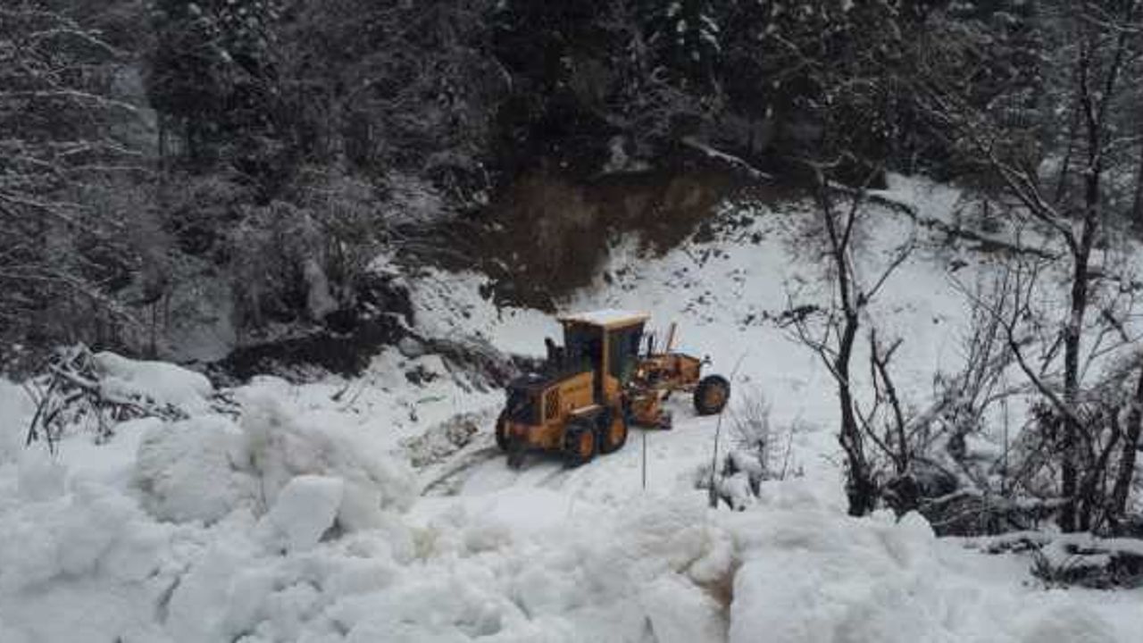 Kastamonu'da kar nedeniyle kapanan köy yolu ulaşıma açıldı