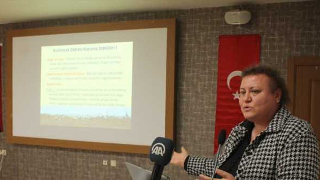 ​​​​​​"Kızılırmak Deltası Sulak Alan Revize Yönetim Planı Çalıştayı" yapıldı