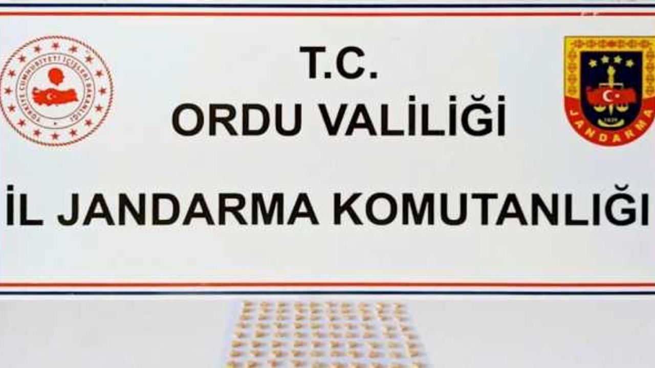 Ordu'da "torbacı" operasyonunda bir kişi tutuklandı