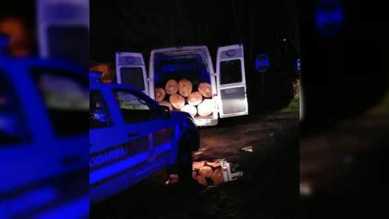 Samsun'da ehliyetsiz sürücünün aracında kaçak kesilmiş 5 ton odun ele geçirildi