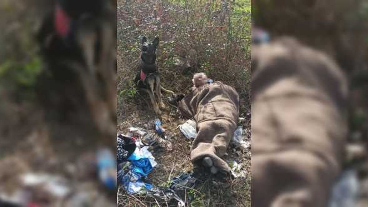Samsun'da kayıp kişi iz takip köpeğinin yardımıyla bulundu
