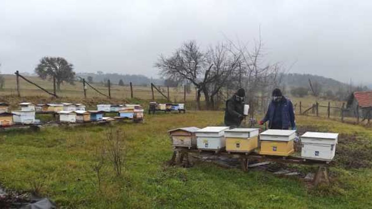 Seben'de "arı kenesi"ne karşı ilaçlama çalışması yapıldı