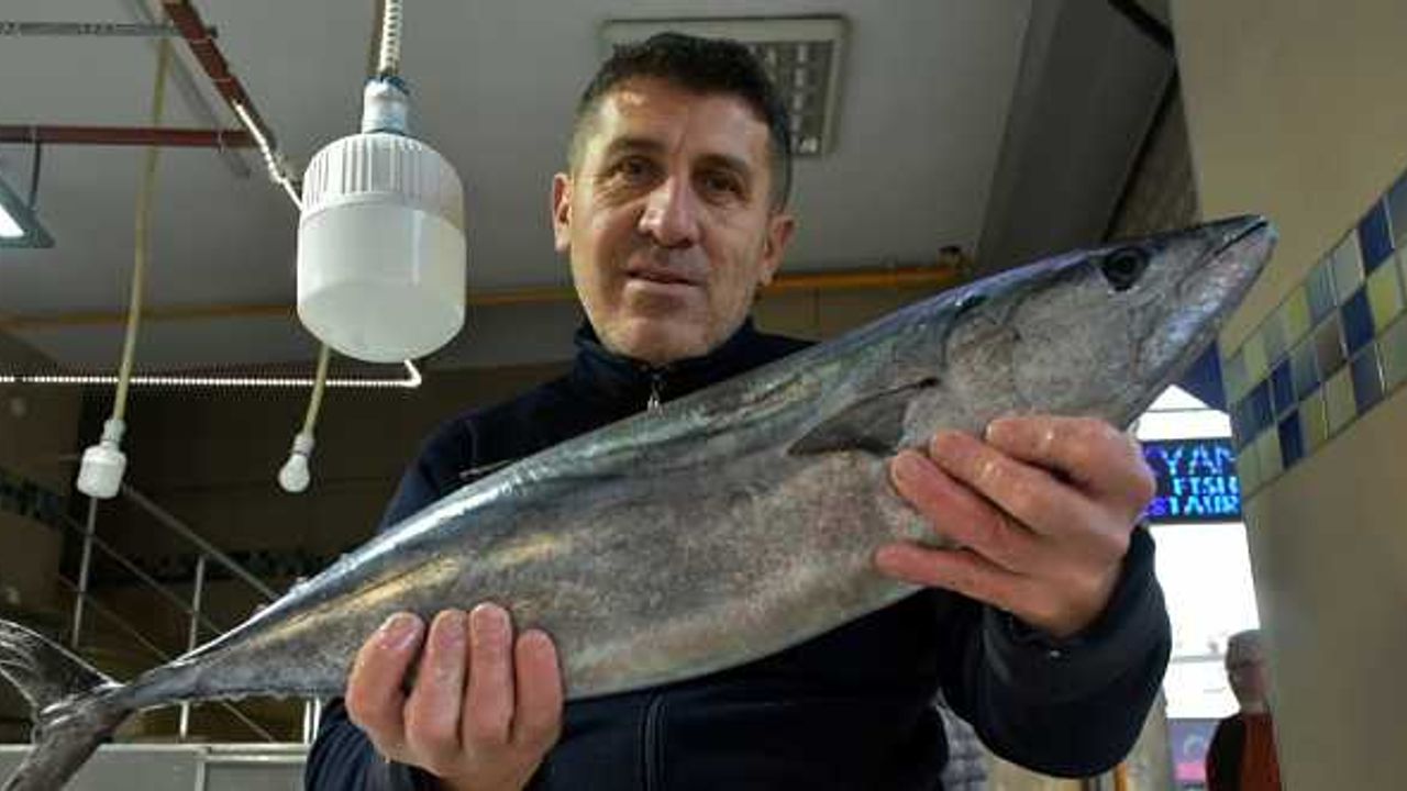 Sinop'ta balıkçıların ağlarına 6 kilogramlık torik takıldı