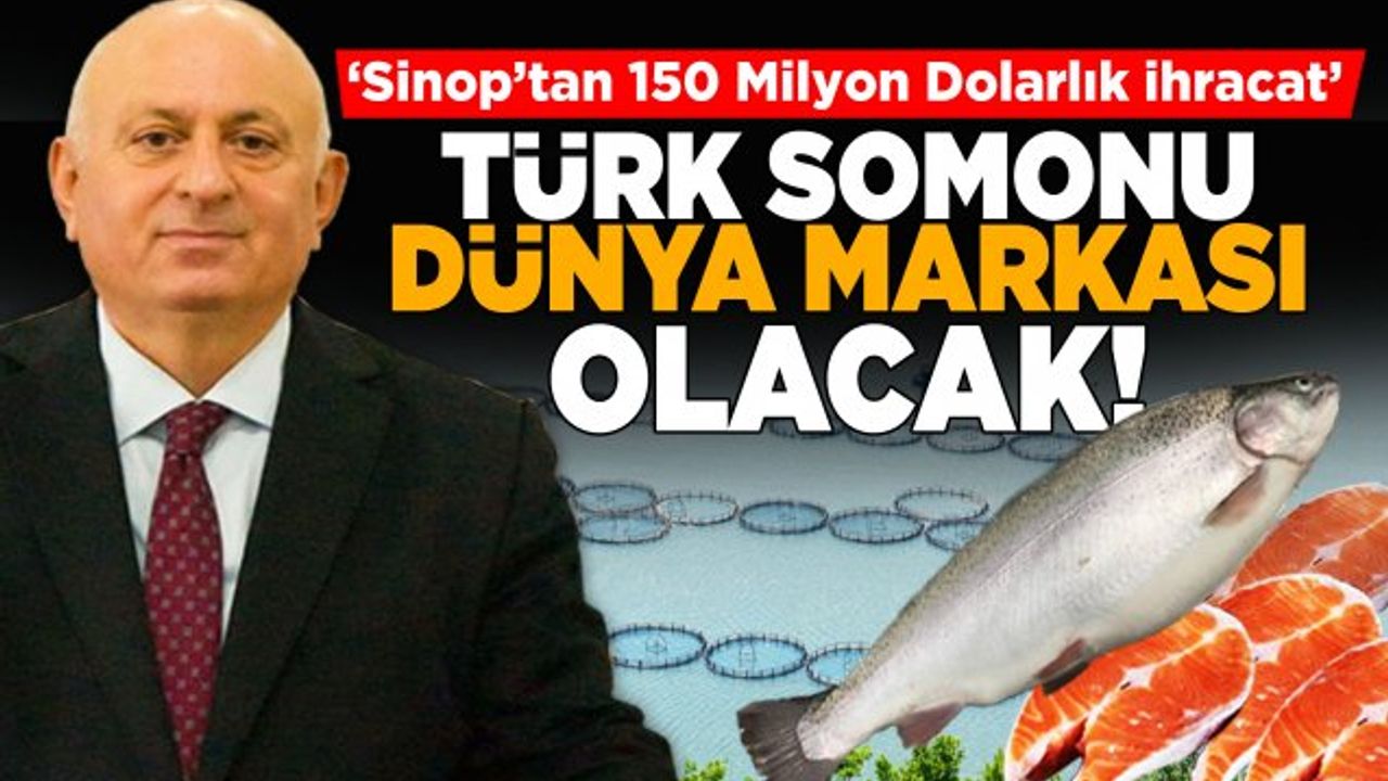Sinop’tan 150 Milyon Dolarlık İhracat