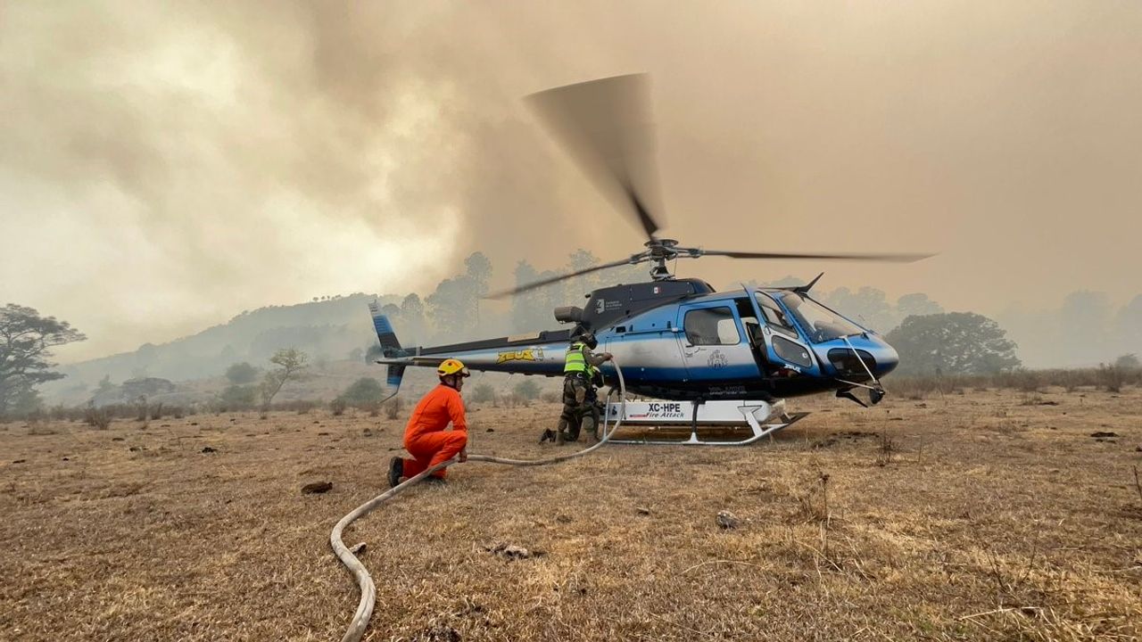 Meksika’da orman yangını: 1 ölü