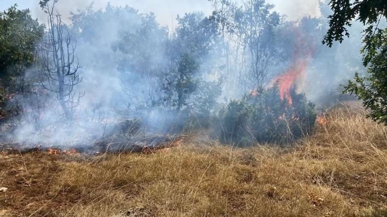 Kütahya’daki orman yangını kısmen kontrol altına alındı