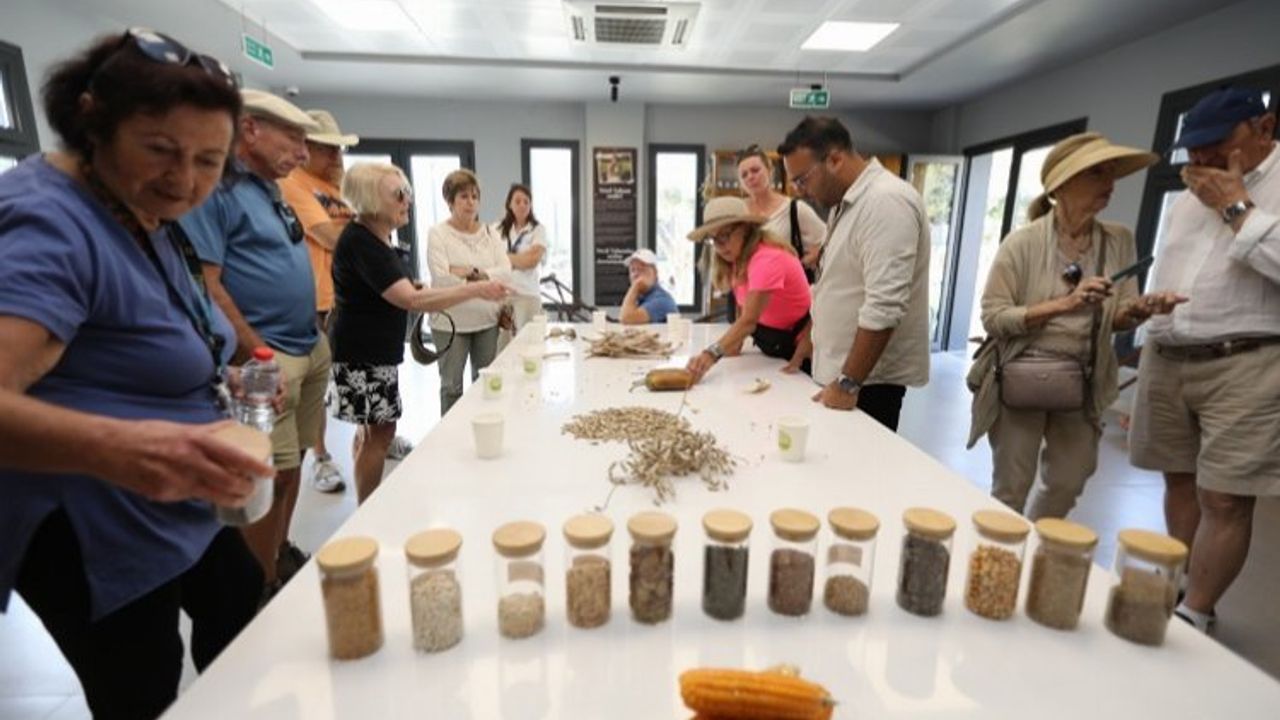 Efes Selçuk'ta agro turizm atağı