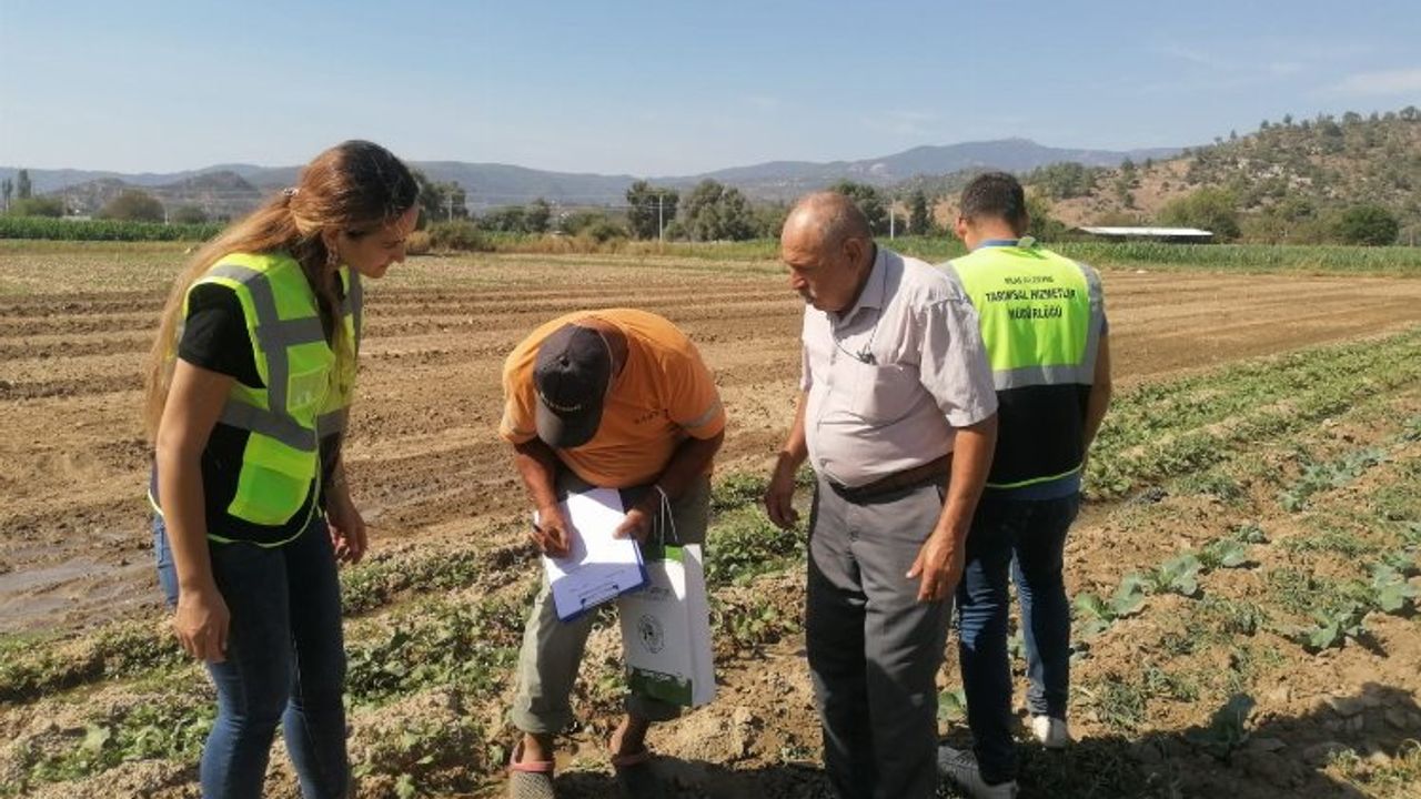 Milas'ta tarımsal üretimi desteğe devam