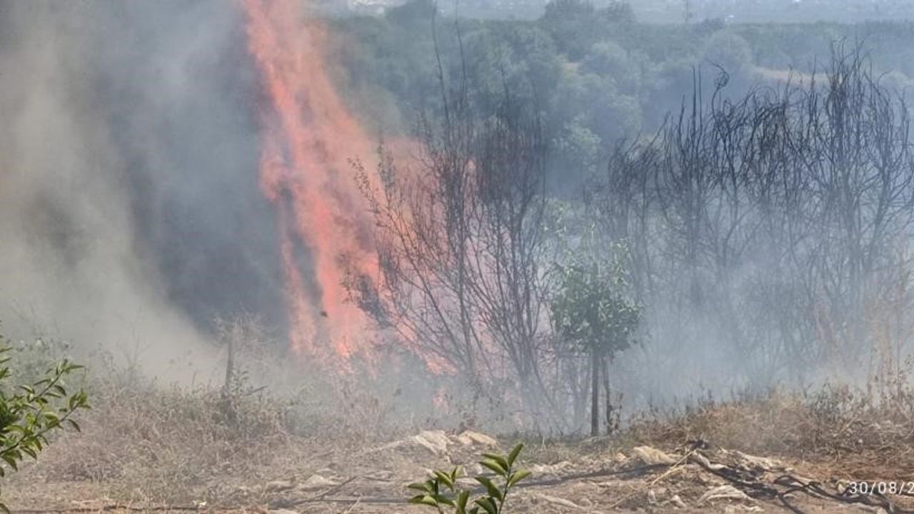 Hatay’da makilik arazi yangını söndürüldü