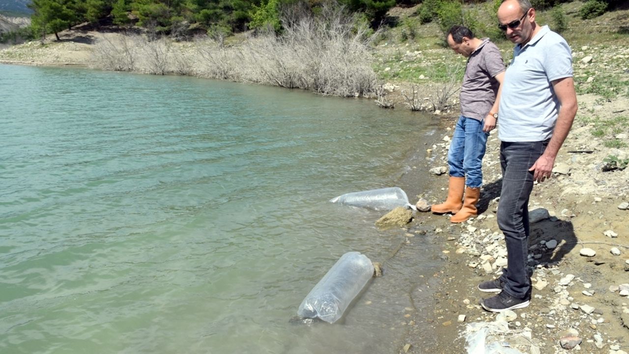 Sinop'ta "Su Kaynaklarının Balıklandırılması" projesi