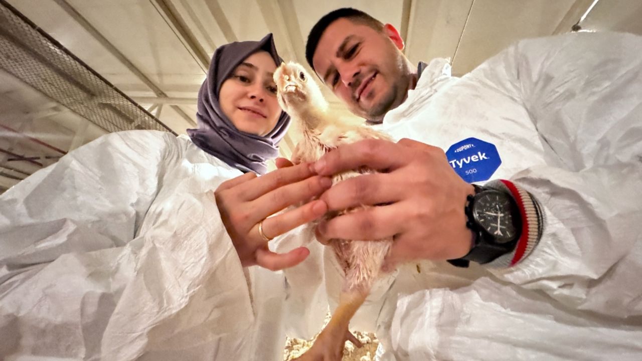 Aile dayanışmasıyla büyüttükleri çiftlikte yüz binlerce tavuk yetiştiriyorlar