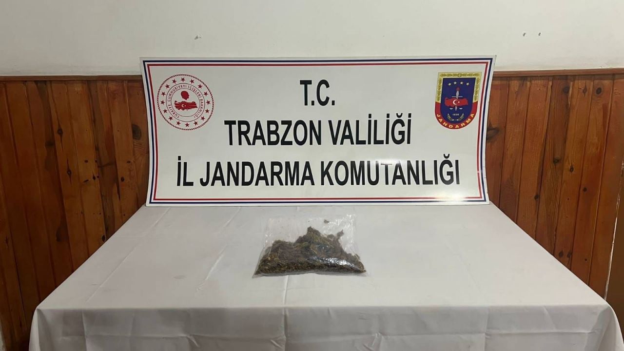 Trabzon'da jandarma ekiplerince uyuşturucu operasyonu düzenlendi