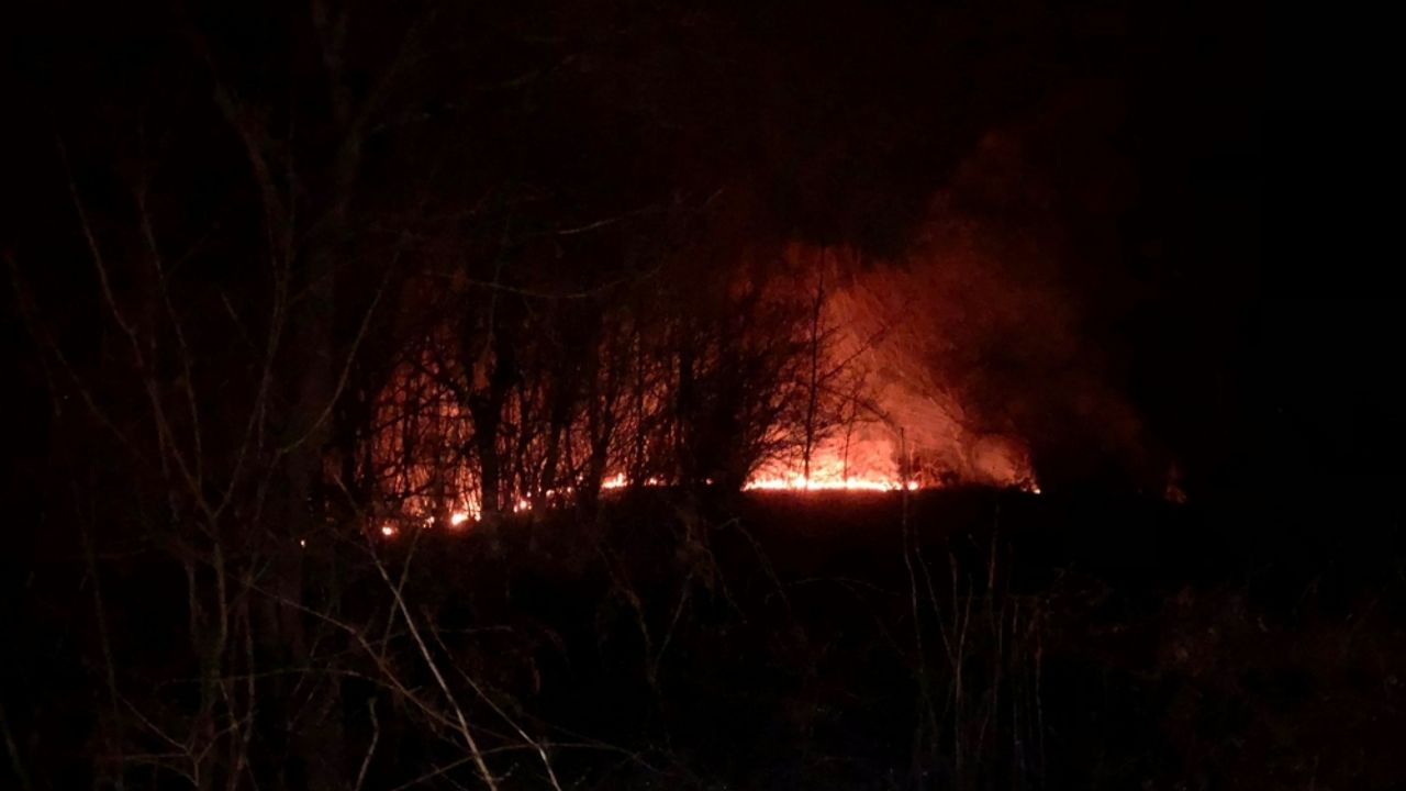 Zonguldak'ta çıkan örtü yangını söndürüldü