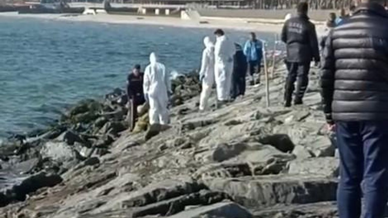 Bakırköy sahilinde bir ceset bulundu