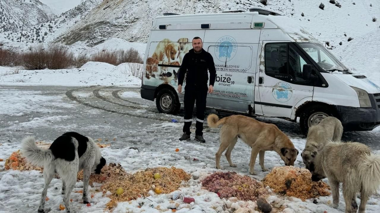 Hakkari’de sokak hayvanlarına yiyecek bırakıldı