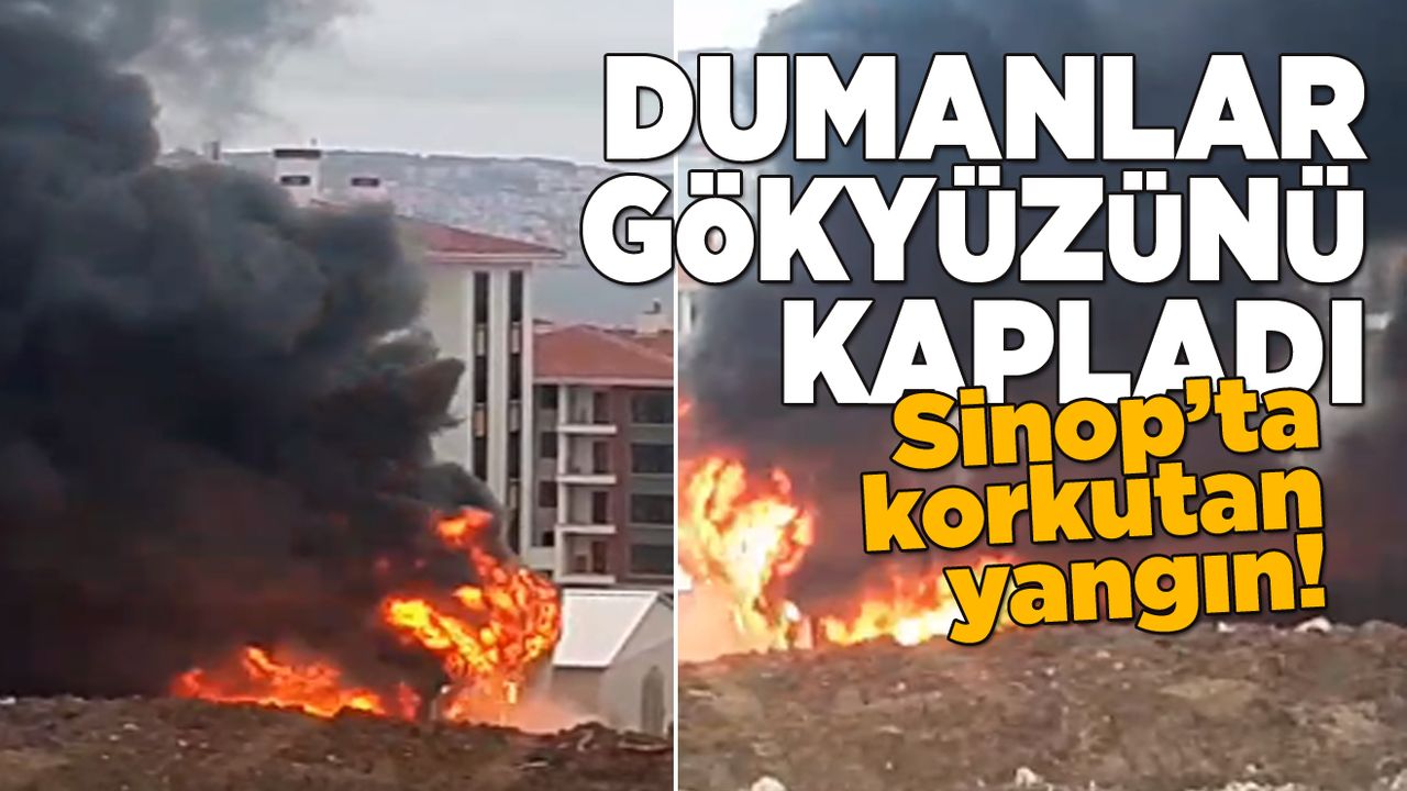 Sinop'ta yangın: Dumarlar gökyüzünü kapladı