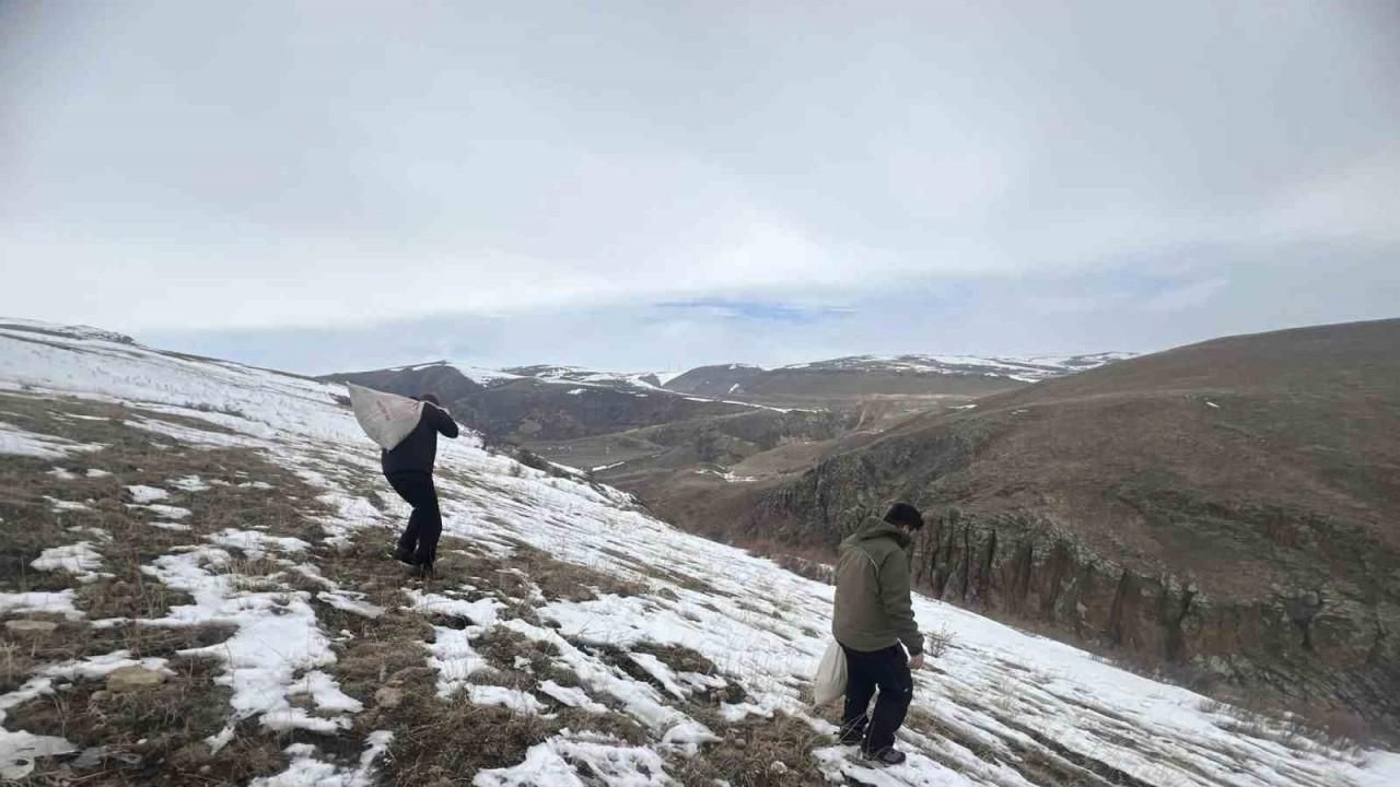 Kars’ta yaban hayvanları için doğaya yem bırakıldı