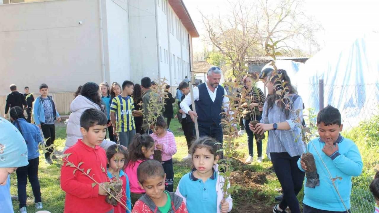 Köyceğiz’de okul bahçesi keçiboynuzu fidanları ile donatıldı