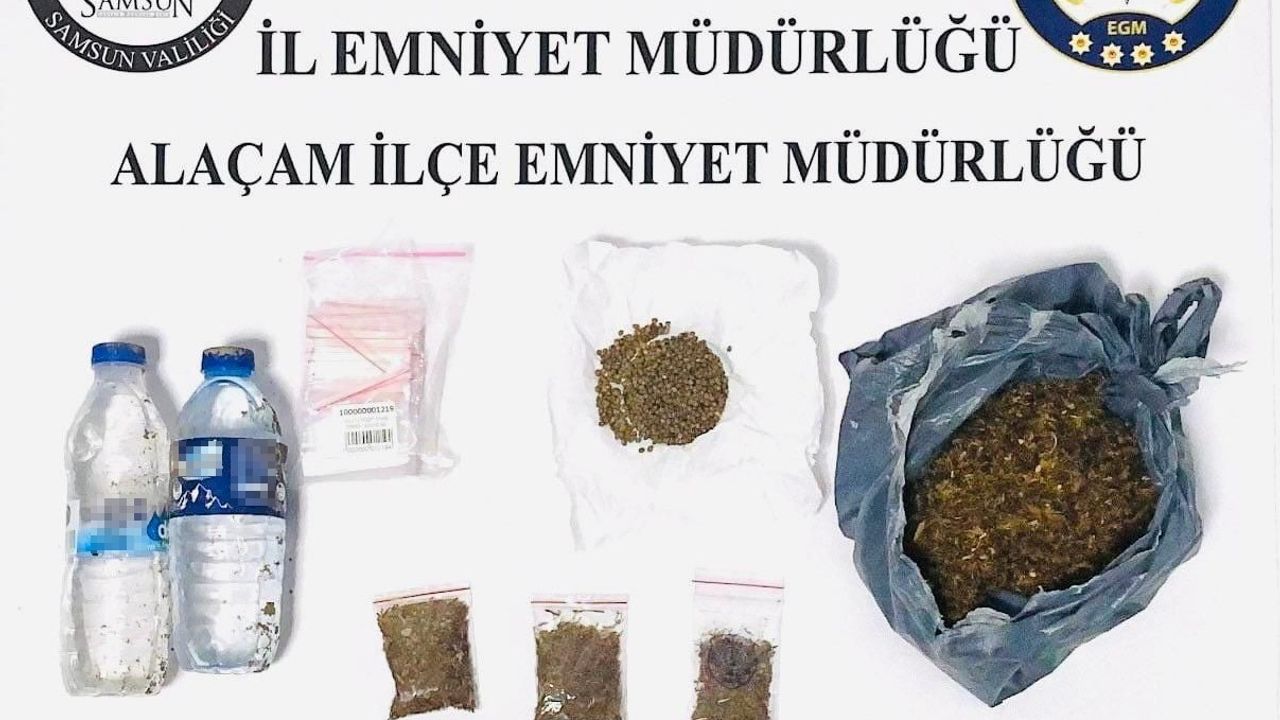 Bonzaiyi şişeye koysa da polisten kaçamadı