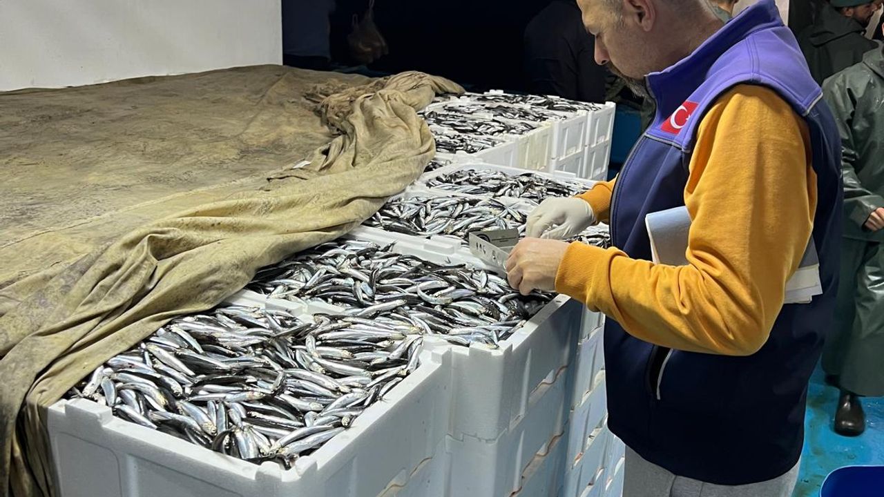 Avlanan balıklara boy kontrolü