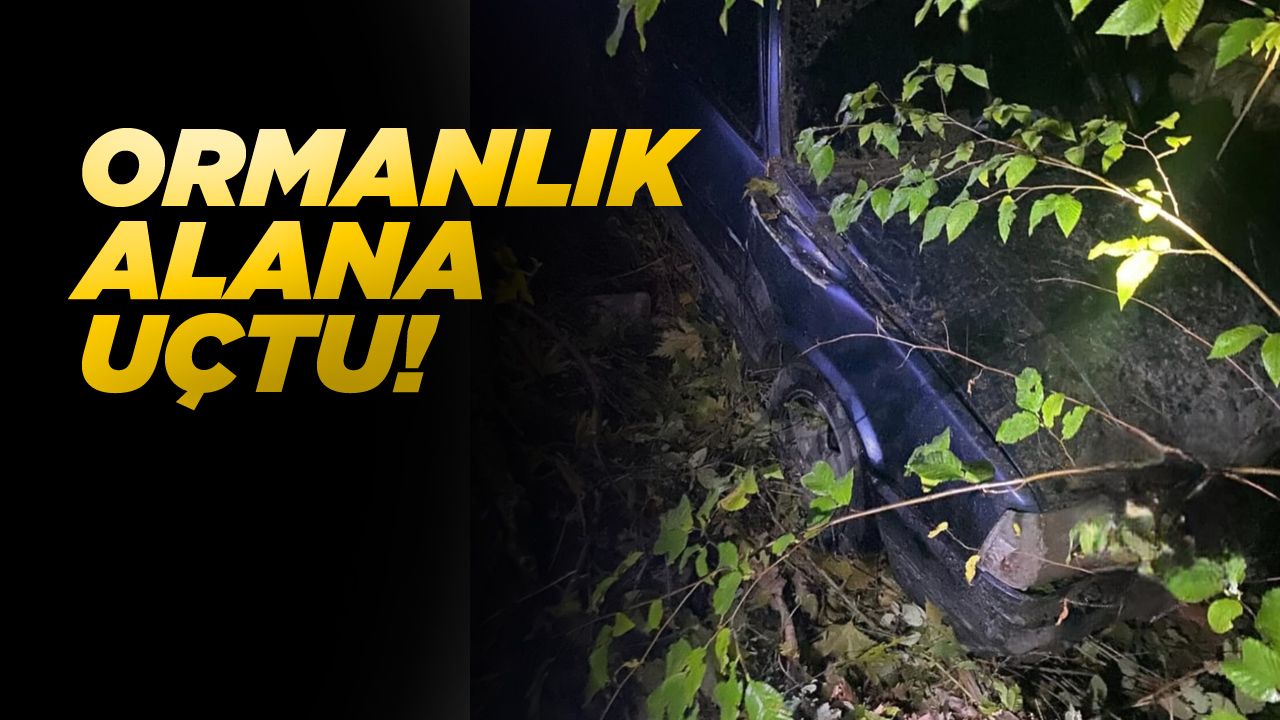 Yoldan çıkan araç ormanlık alana uçtu