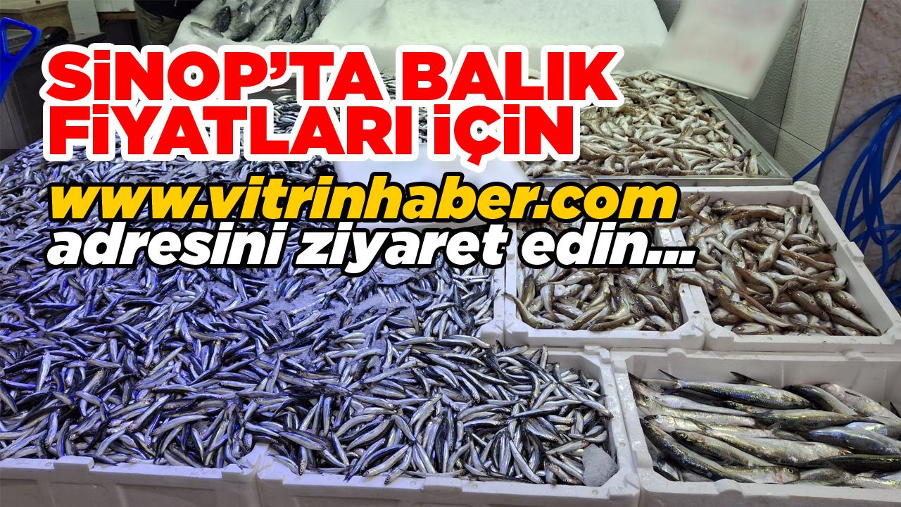Sinop’ta balık bereketi: İşte fiyatlar…