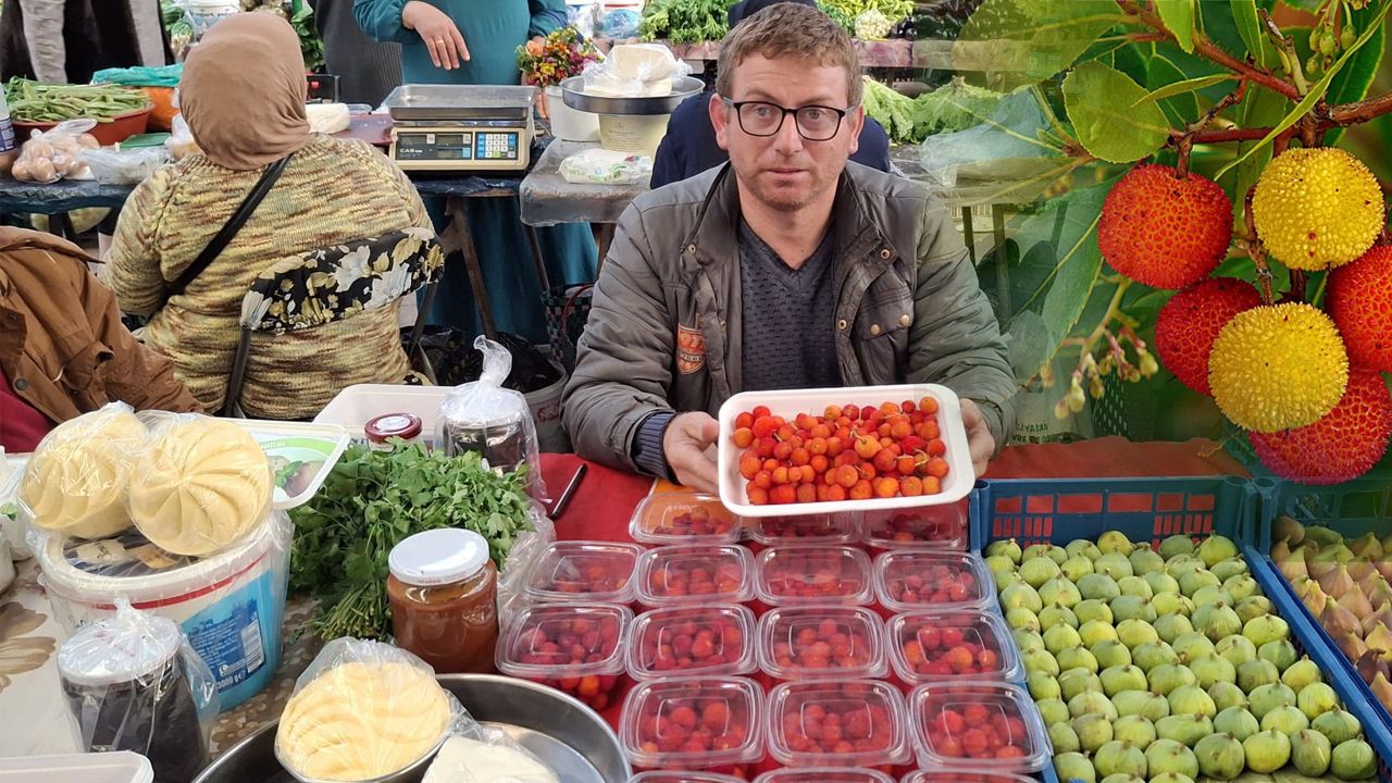 Sinop ormanlarının gizli şifası pazar tezgahlarında