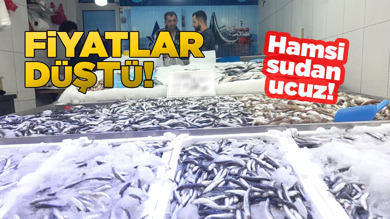Bolca avlanan hamside fiyatlar düştü!