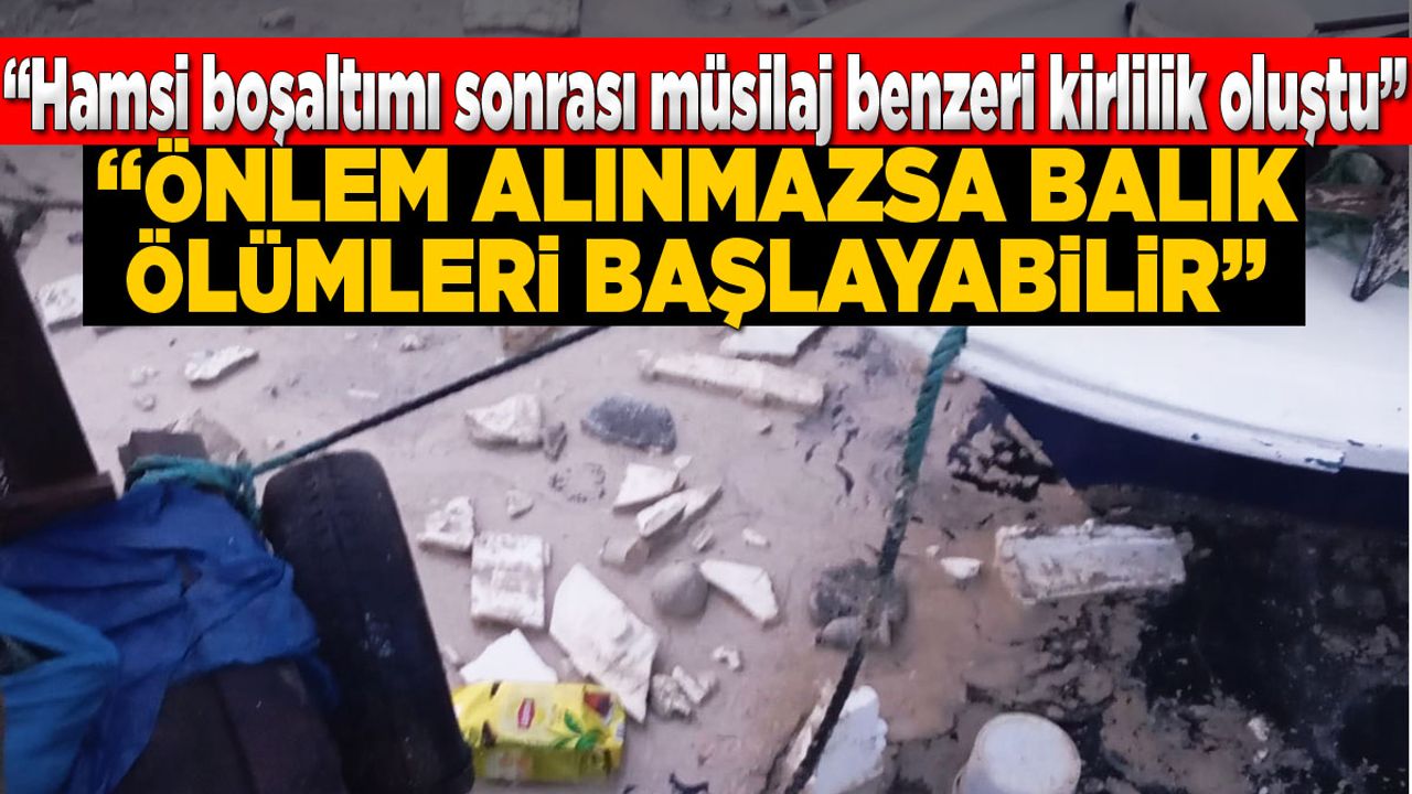 Sinop Demirci Köyü Limanı’nda kirlilik alarmı!