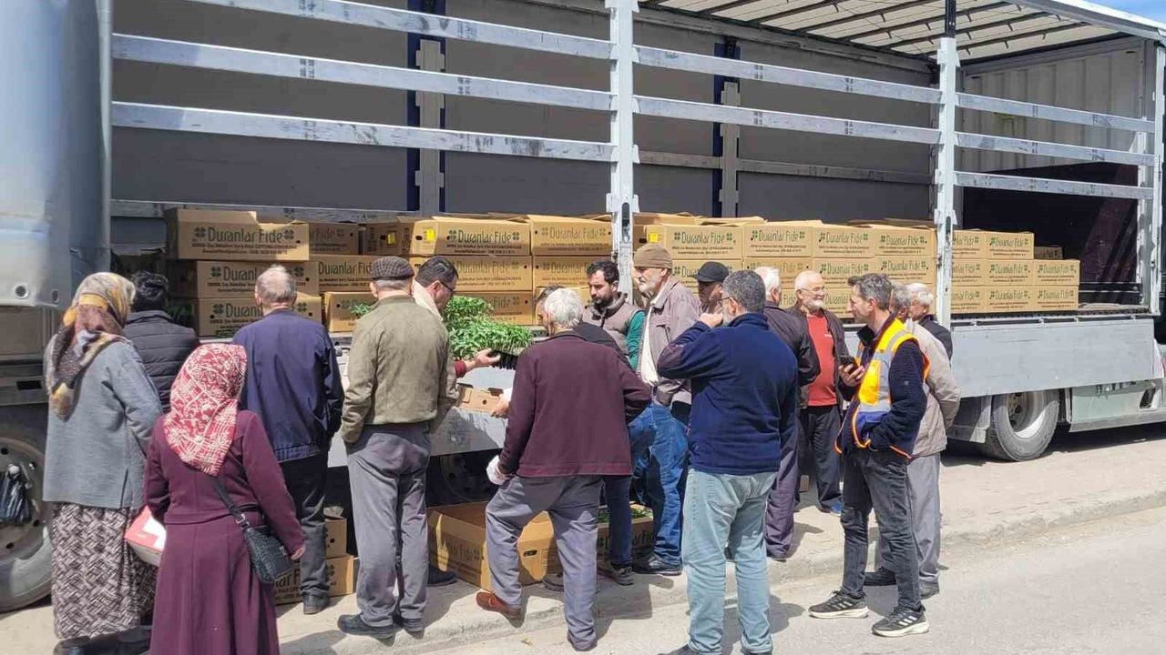 Çiftçilere 147 bin adet sebze fidesi desteği